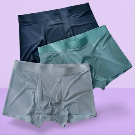 Men's Ice Silk Briefs Boxers (Pack of 3)